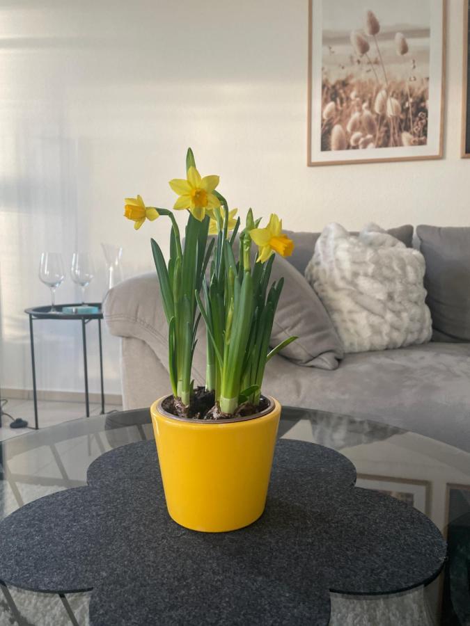 4-Sterne Ferienwohnung Krill 바트 부르자흐 외부 사진